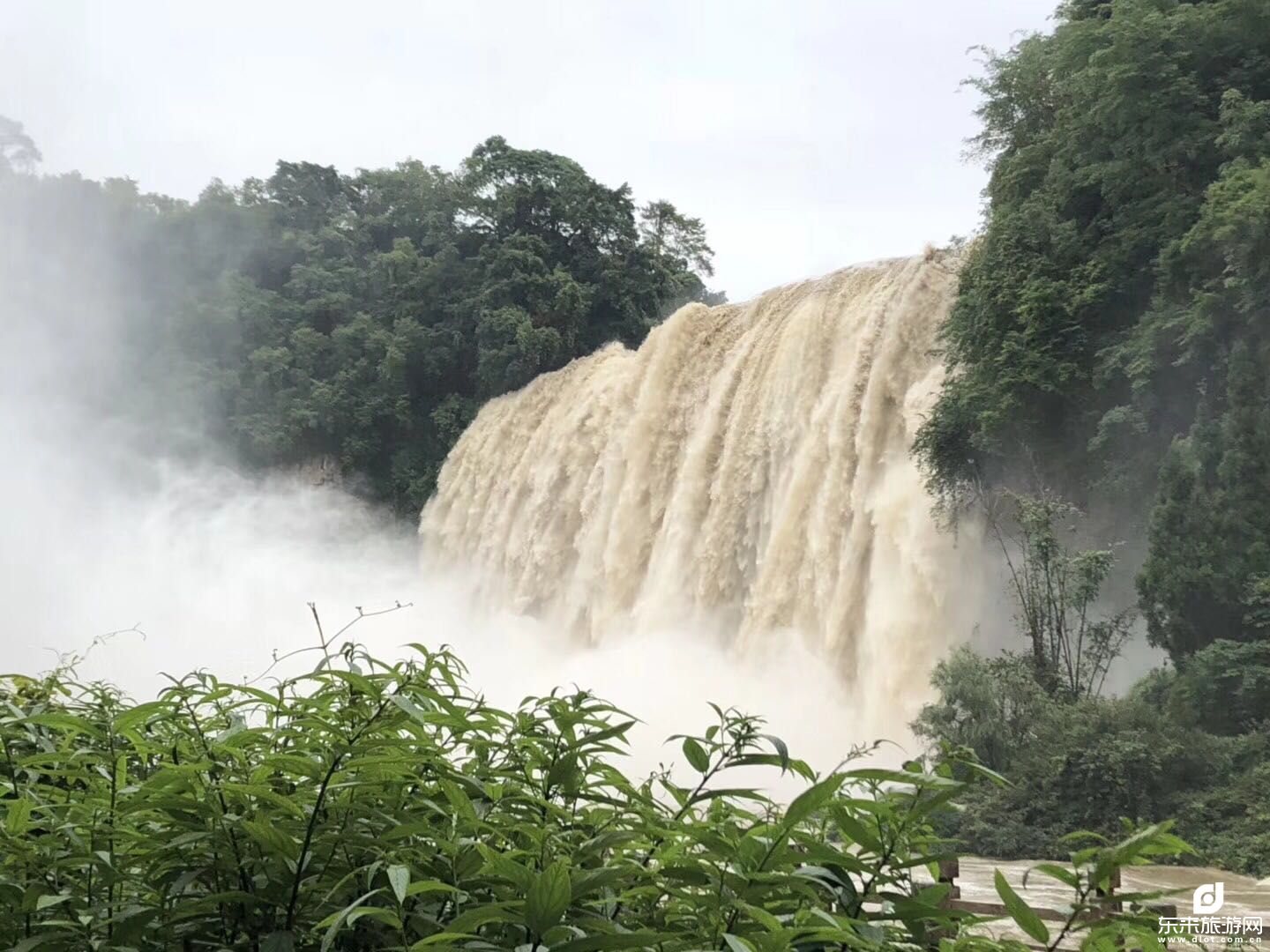 【我想去梵凈山】貴州、荔波小七孔、黃果樹(shù)瀑布、西江千戶(hù)苗寨、梵凈山雙飛六日游